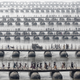 Illustration for article titled 41 More Amazing Photos From the Sony World Photography Awards